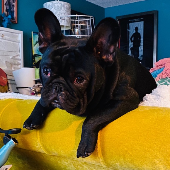 Meet your Posher, Kristi - Picture 3 of 17